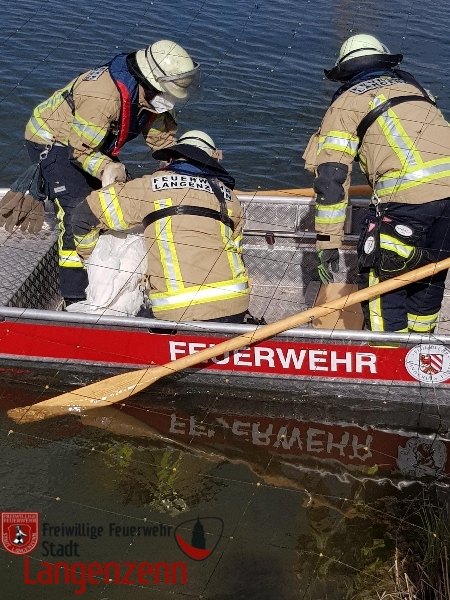 Schwan im Netz verfangen