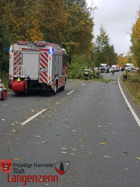 Baum auf Auto gefallen