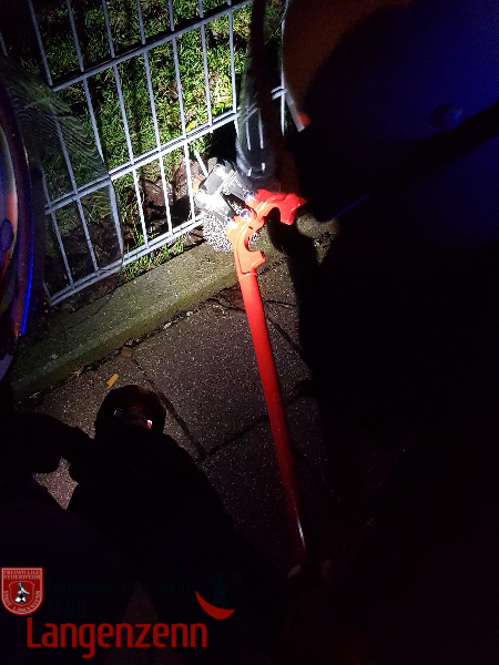 Igel steckt im Zaun fest