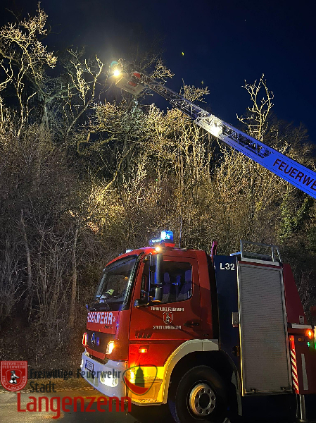 Tierrettung über Drehleiter